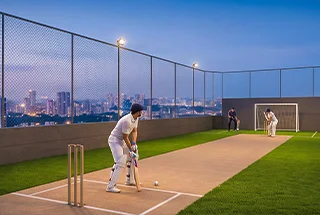 Cricket Turf